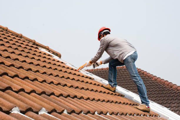 Sheet Metal Roofing in Bridgeport, IL