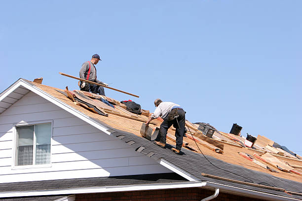 Best Roof Insulation Installation  in Bridgeport, IL